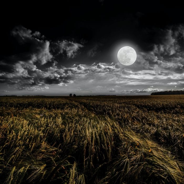 moon and field