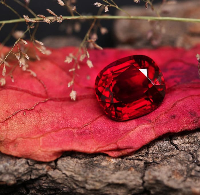 Polished Ruby on a Red Leaf