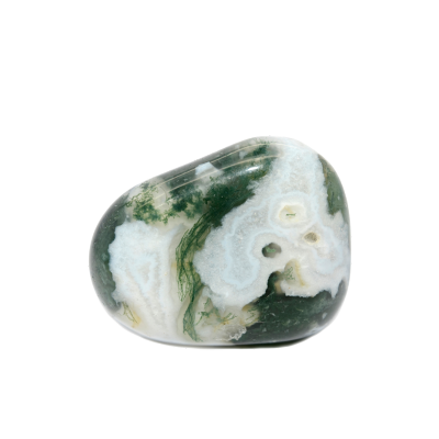 tree agate on transparent background