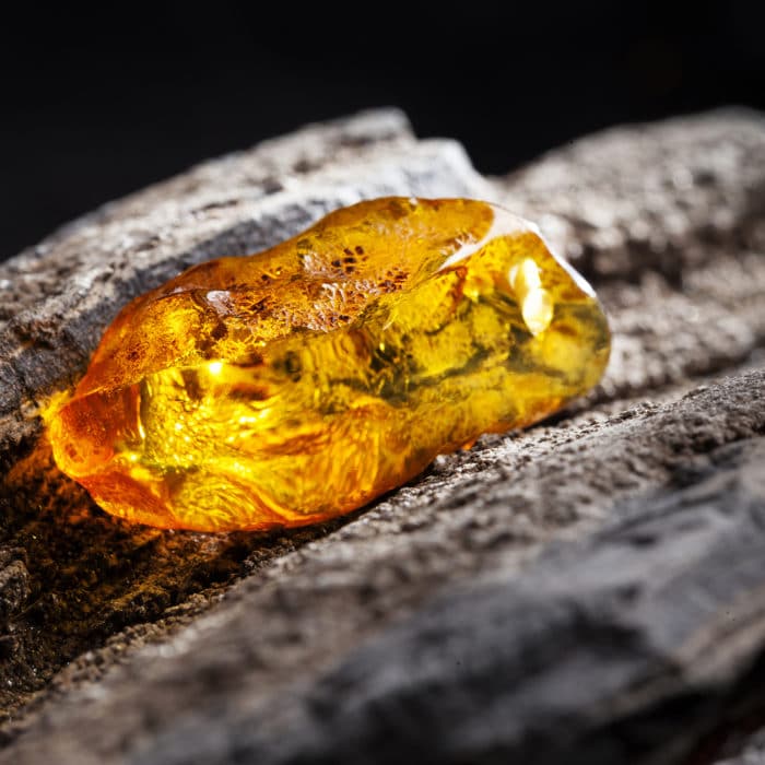 Amber Meaning, Uses, and Benefits