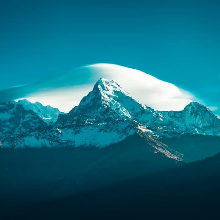 Himalayan