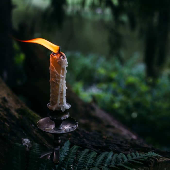 lighted candle in the middle of a forest