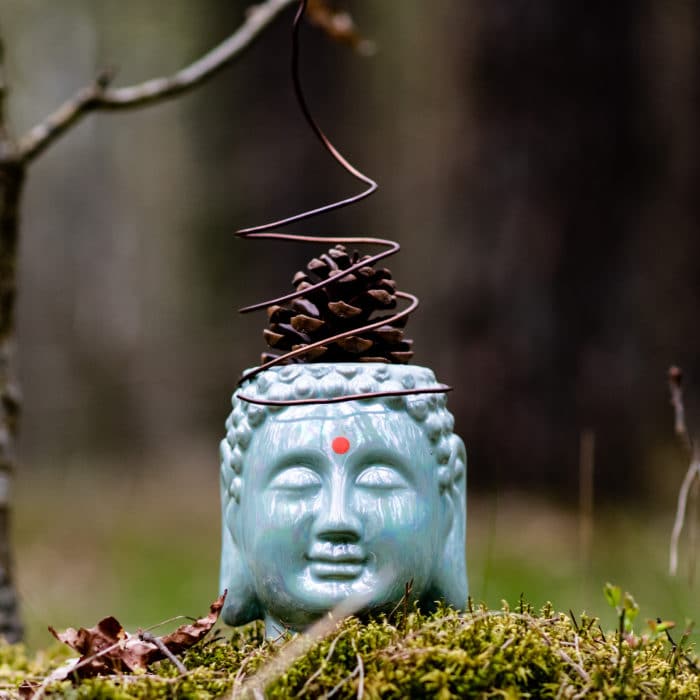 buddha head with pinecone on top