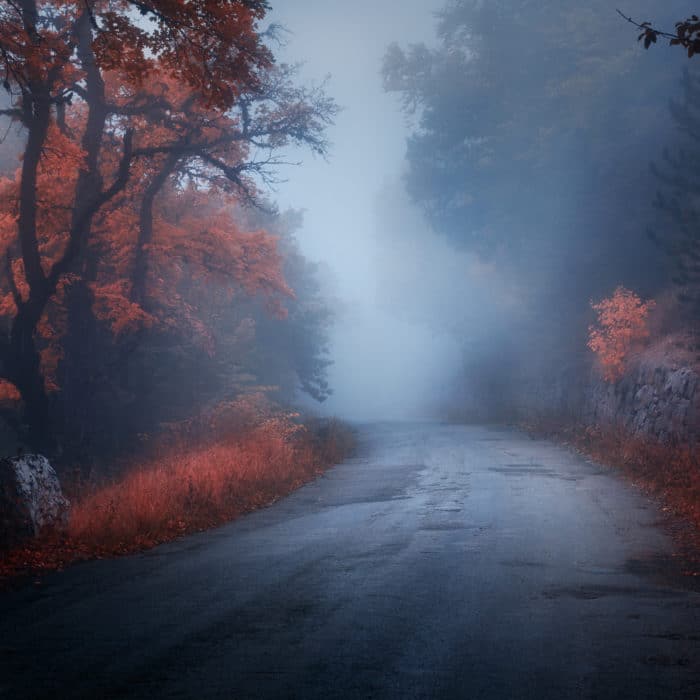 Mystical autumn forest with road in fog