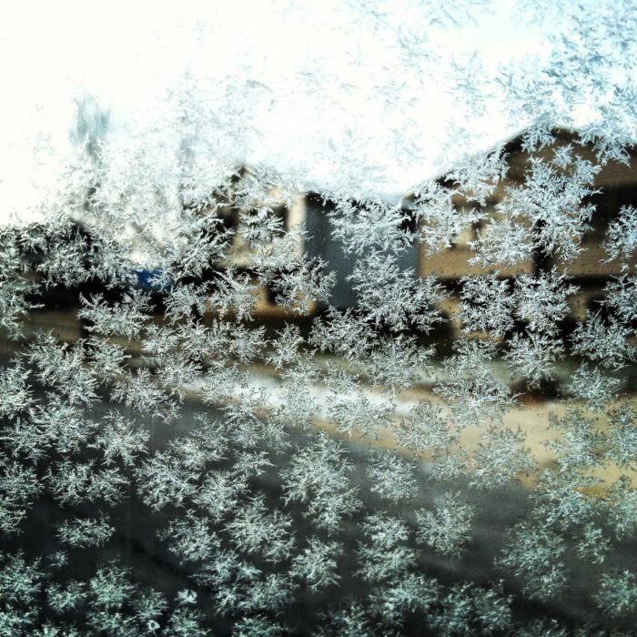 snowflakes on a glass window