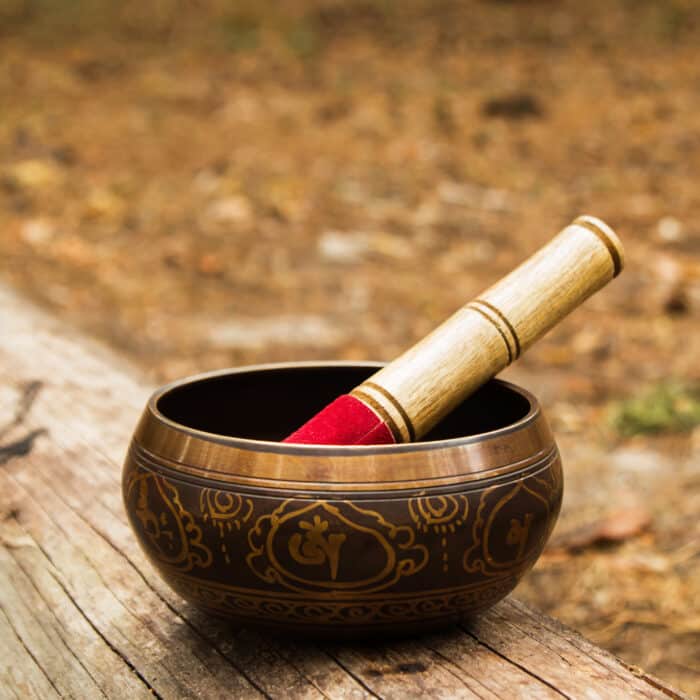 Tibetan singing bowl with wooden stick on the tree in a forest.