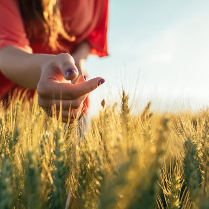 woman wearing red on wheat field