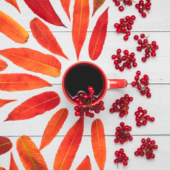 A cup of tea with viburnum berries and red autumn leaves on a wooden boards, October mood, rustic composition, colorful creative abstraction with art design, drink in a mug in the morning, leaf fall.