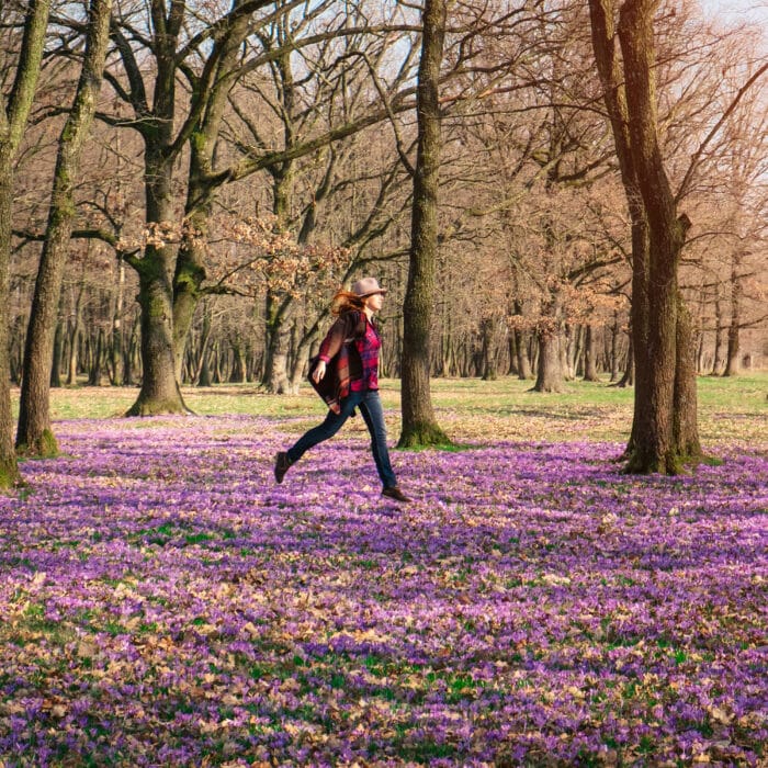 Happy woman enjoying the nature in the spring forest and feeling free among meadow of beautiful crocus flowers. Freedom and wanderlust travel concept