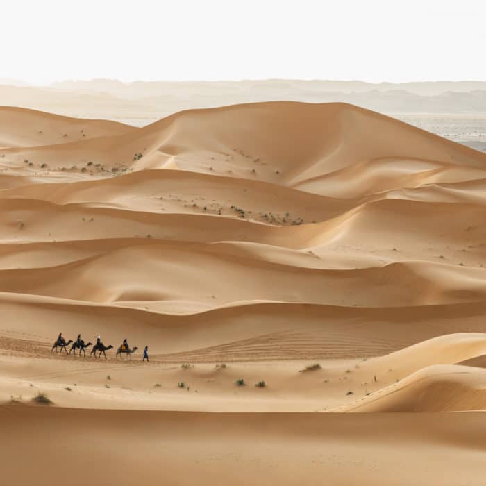 camel caravan group on a desert