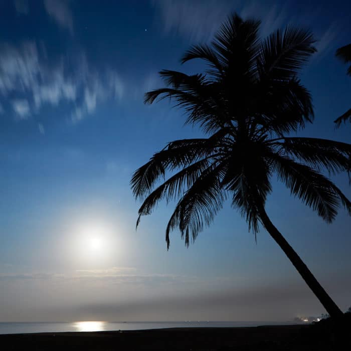 Moonlight Near The Beach