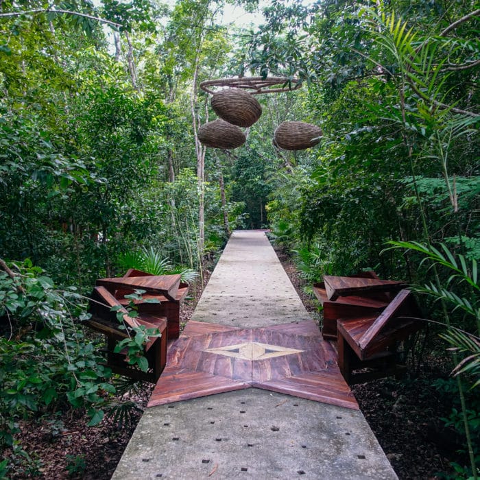 Spiritual Path in the Jungle