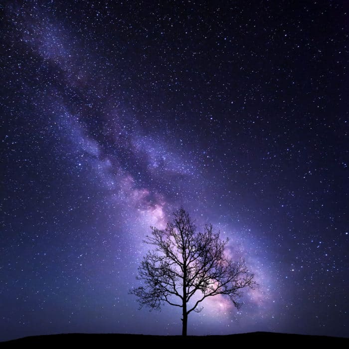 Tree against Milky Way. Night landscape