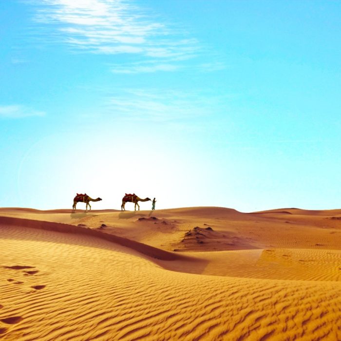 landscape sand desert dry camel egypt 1282061 pxhere.com