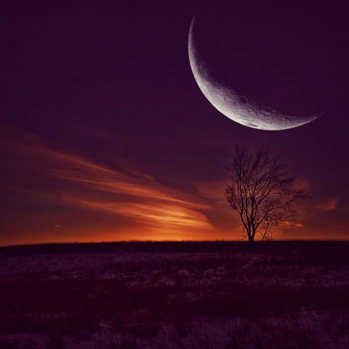 moon over meadow