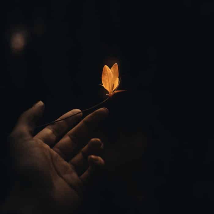hand and glowing butterfly