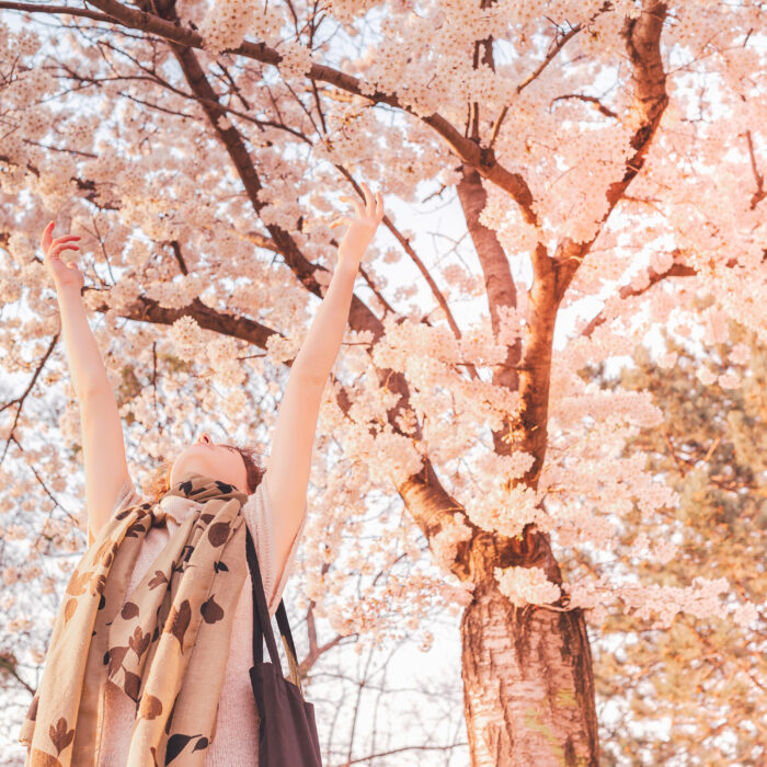 Happy woman raising her arms towards the cherry blossom trees