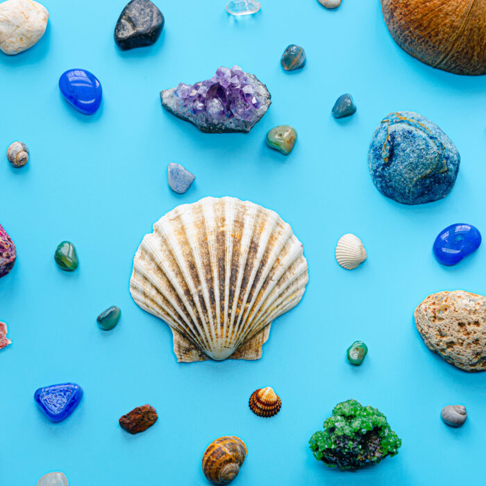 Crystals and sea shells on blue background