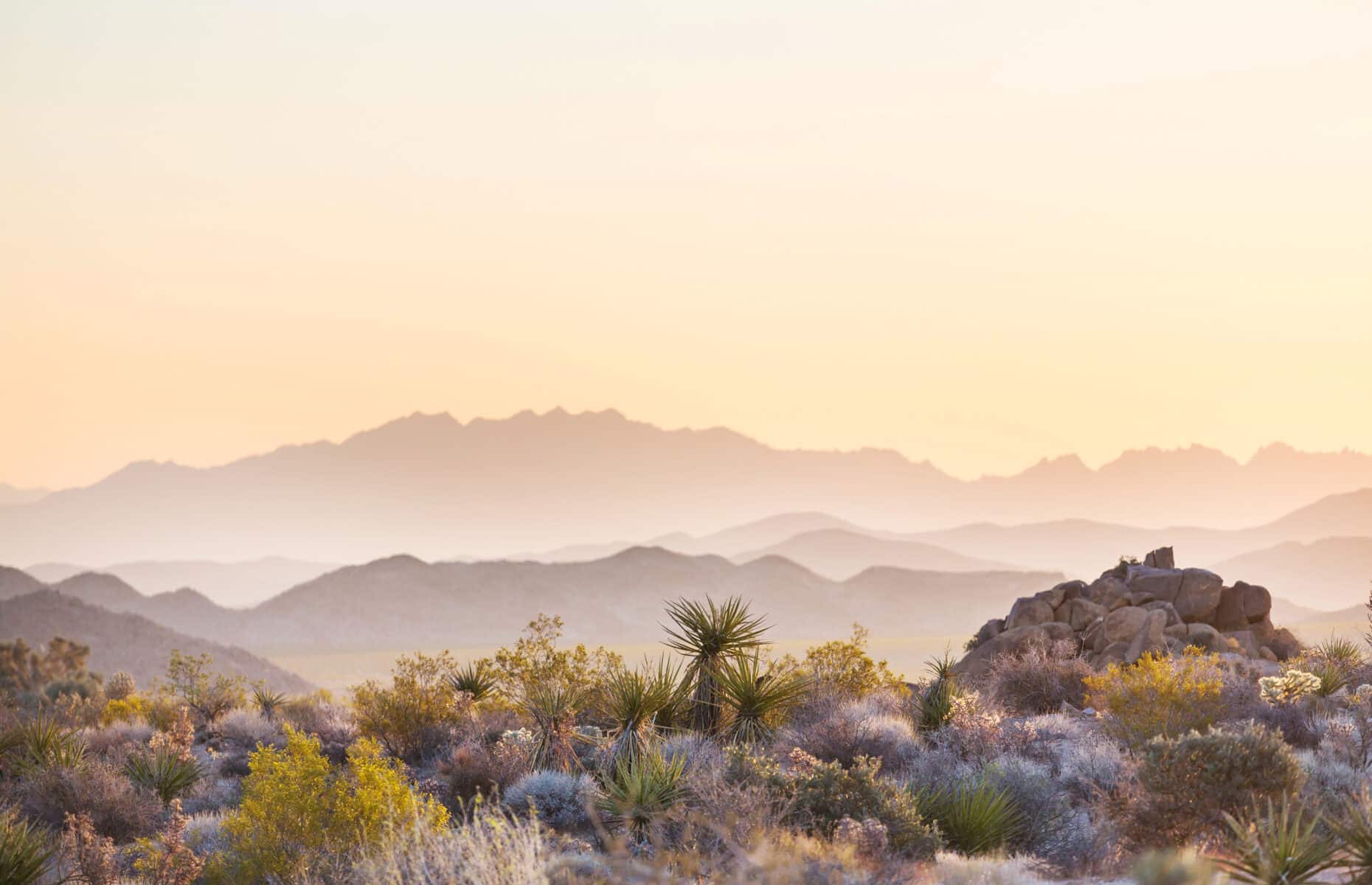 Arizona desert landscapes at sunrise, USA