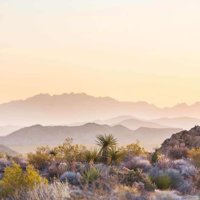 Arizona desert landscapes at sunrise, USA