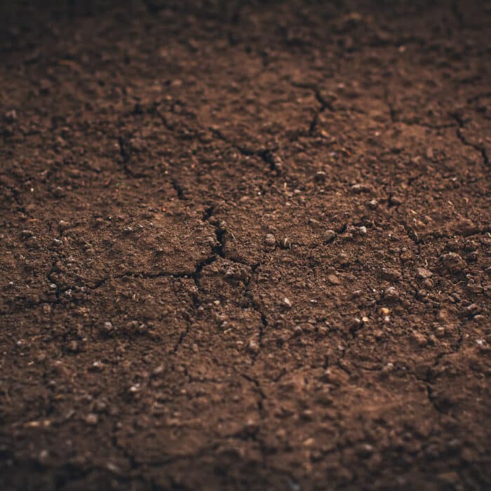 Dark soil texture closeup of dry soil background
