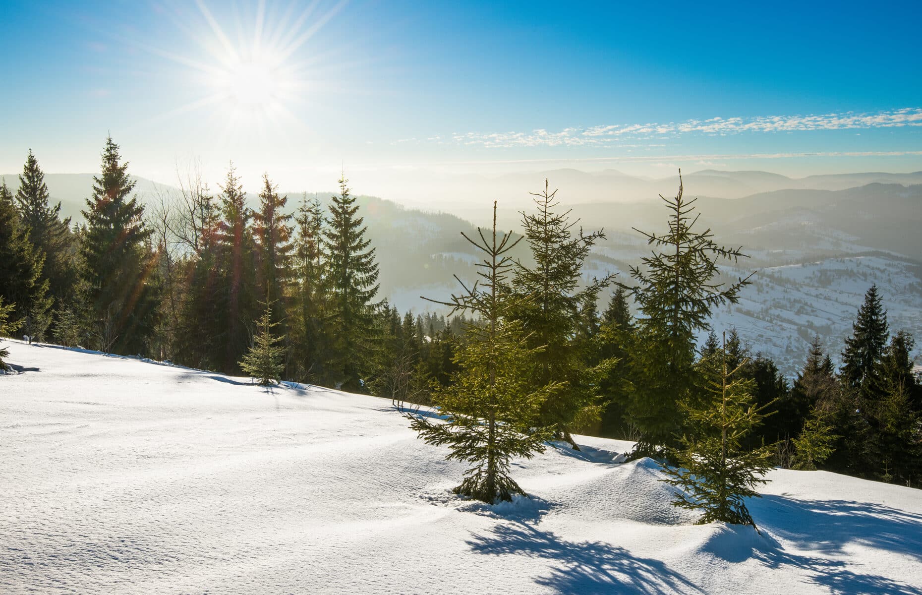 Bewitching view of the ski slope with a beautiful view of the snowy hill coniferous forest and sunny mountain ranges on a clear frosty day. Concept of relaxation in a ski resort.
