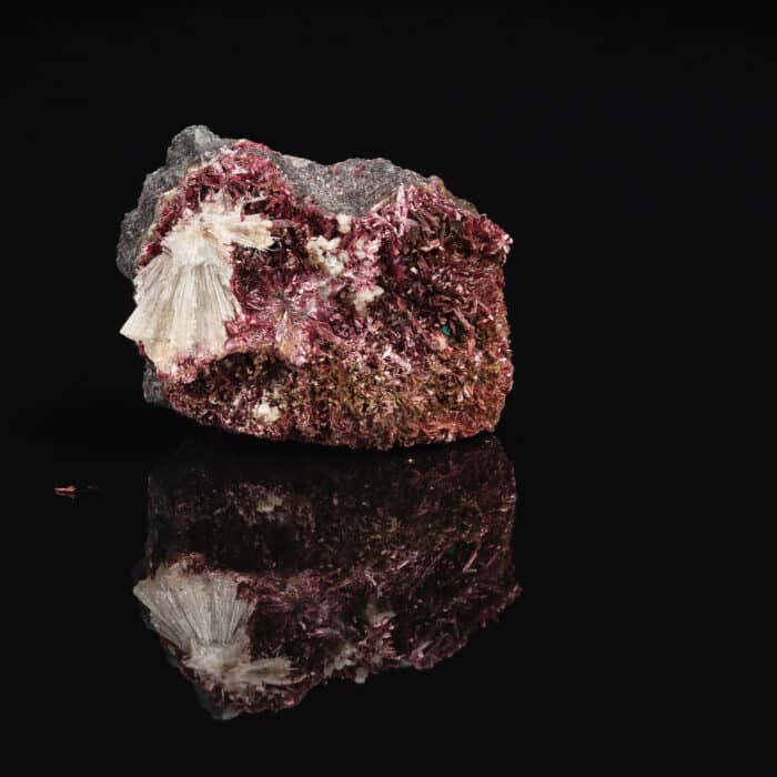 Closeup Photo of Raw Crimson Erythrite Mineral Gemstone on Black Background with Reflection