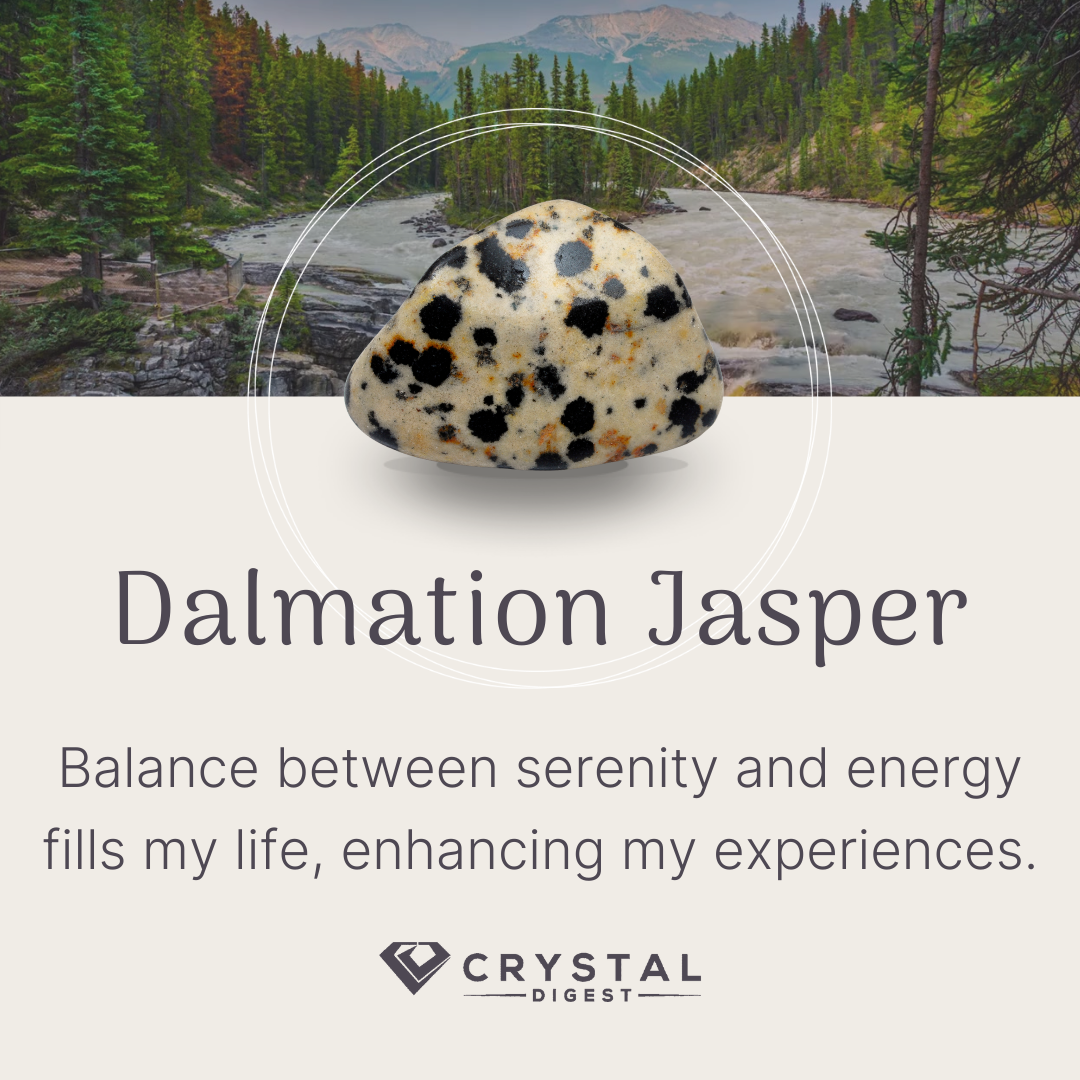 Dalmation Jasper Crystal Affirmation