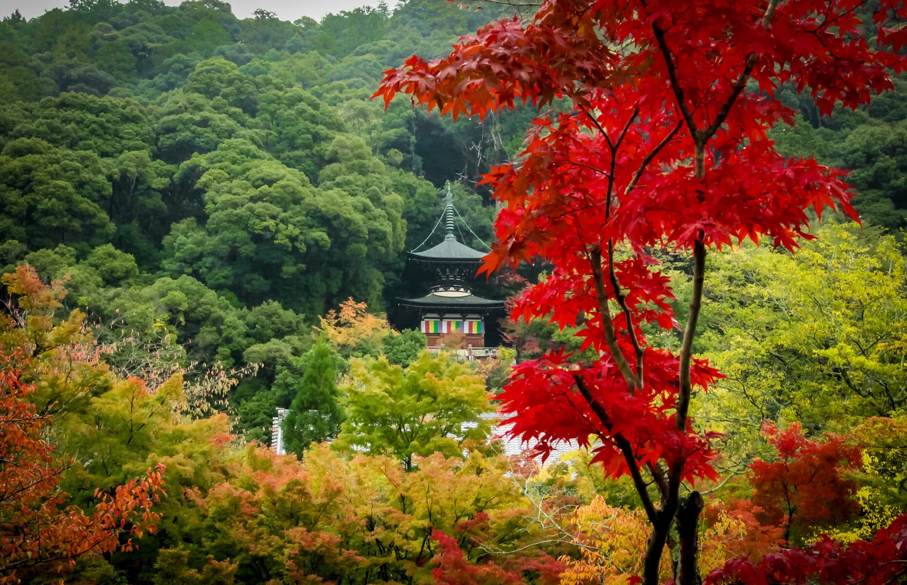 Eikando pagoda and autumn foliage - Kyoto, Japan.