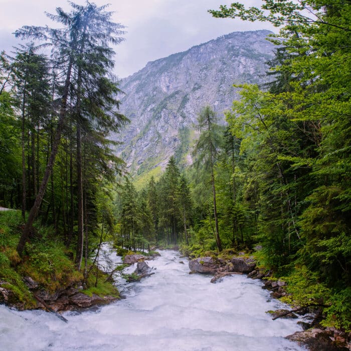Mountain stream in the woods. Majestic mountains landscape Carpathian, Ukraine