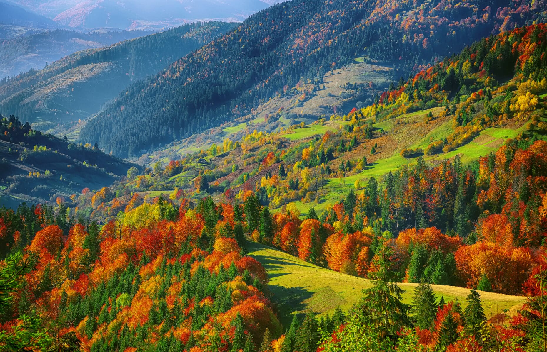 The mountain autumn landscape with colorful forest. Bright sunny weather