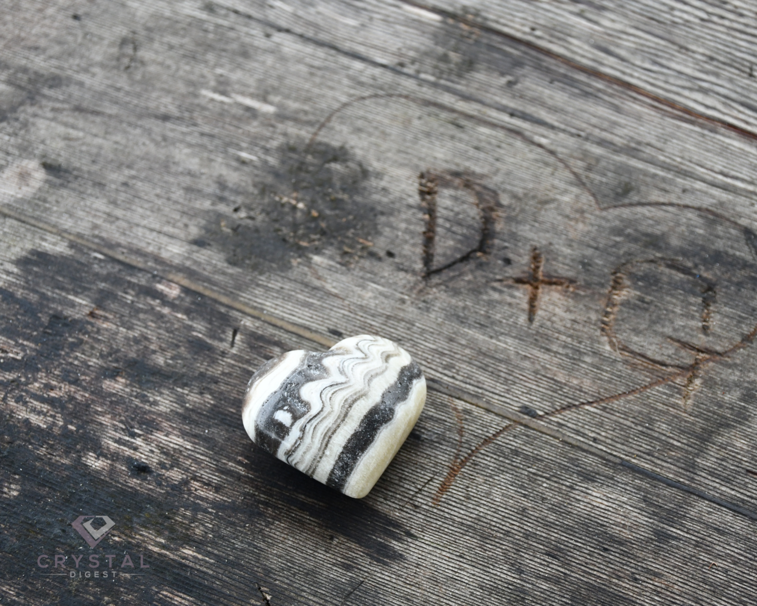 Zebra Calcite on a park bench next to a love sign carving